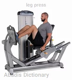 leg press